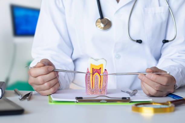 Best Broken or Cracked Tooth Emergency Dentist in Rossford, OH